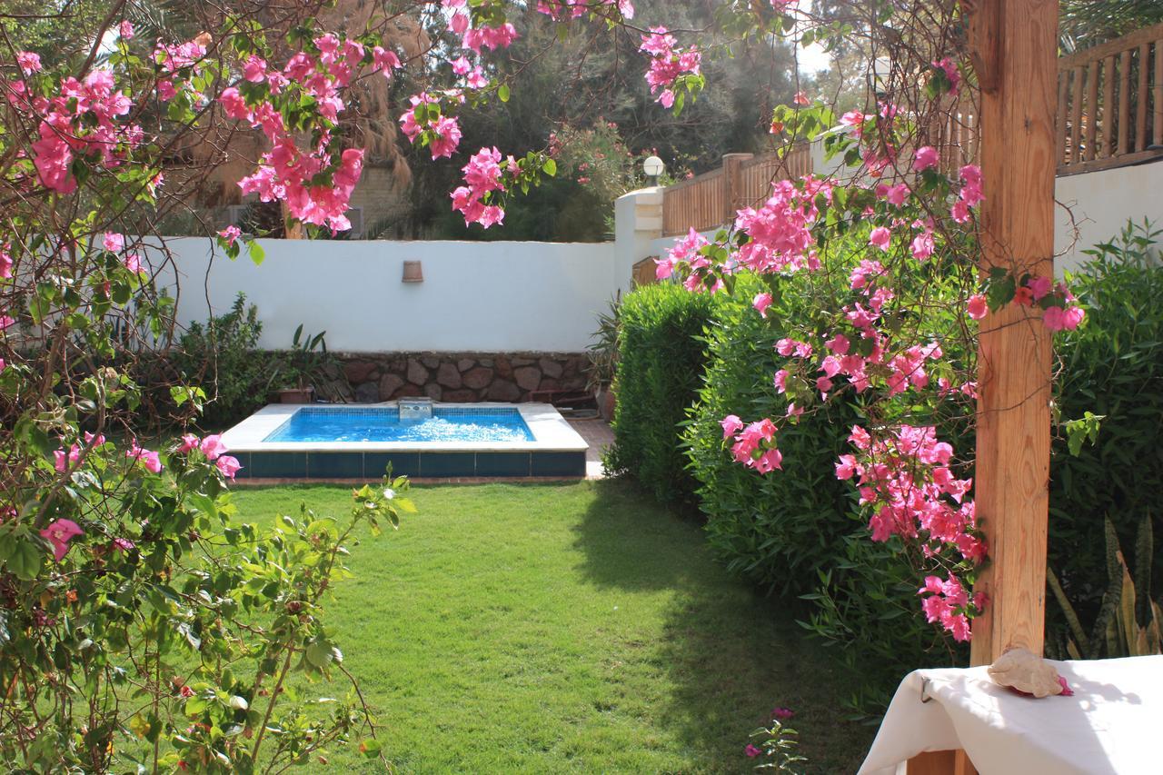 Deluxe Seahorse Apartment - Lagoon Villa Dahab Ngoại thất bức ảnh