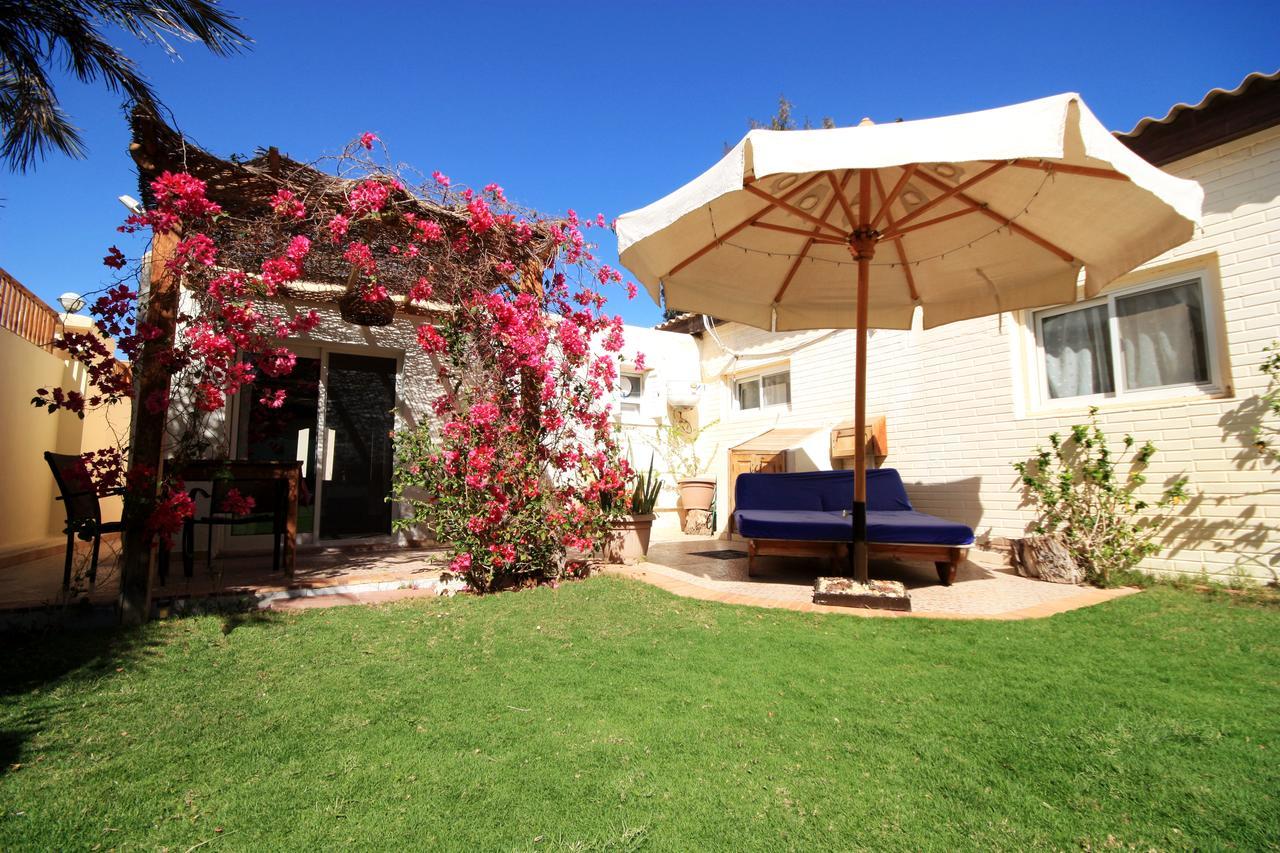 Deluxe Seahorse Apartment - Lagoon Villa Dahab Ngoại thất bức ảnh